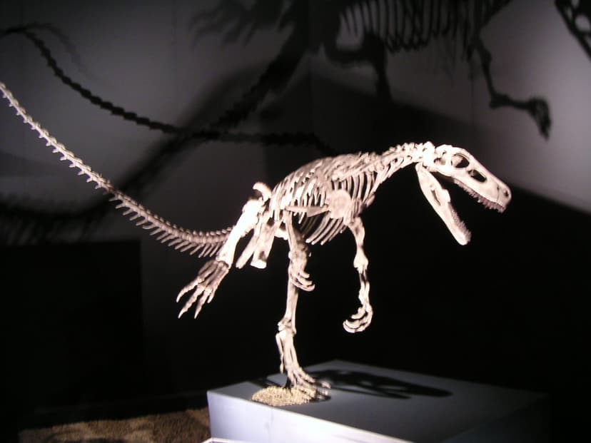 Herrerasaurus | The Dinosaur Expo 2005 | Cookie M | Flickr