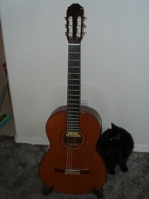 classical guitar | this is my 1999 Raimundo. it was born in … | Flickr