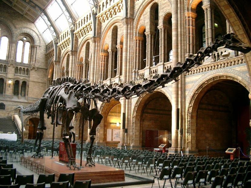 Diplodocus skeleton | A debate on evolution took place in th… | Flickr