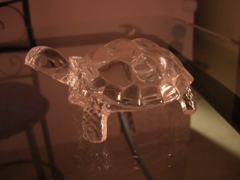 Glass Tortoise | Took this in the the fading light of the ev… | Flickr