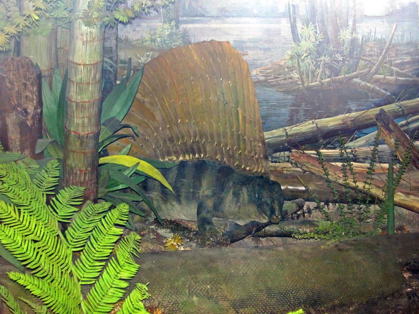 Diorama of a Pennsylanian forest floor - Edaphosaurus | Flickr