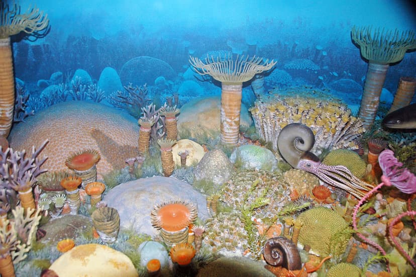 Diorama of a Devonian seafloor - corals, coiled cephalopod… | Flickr