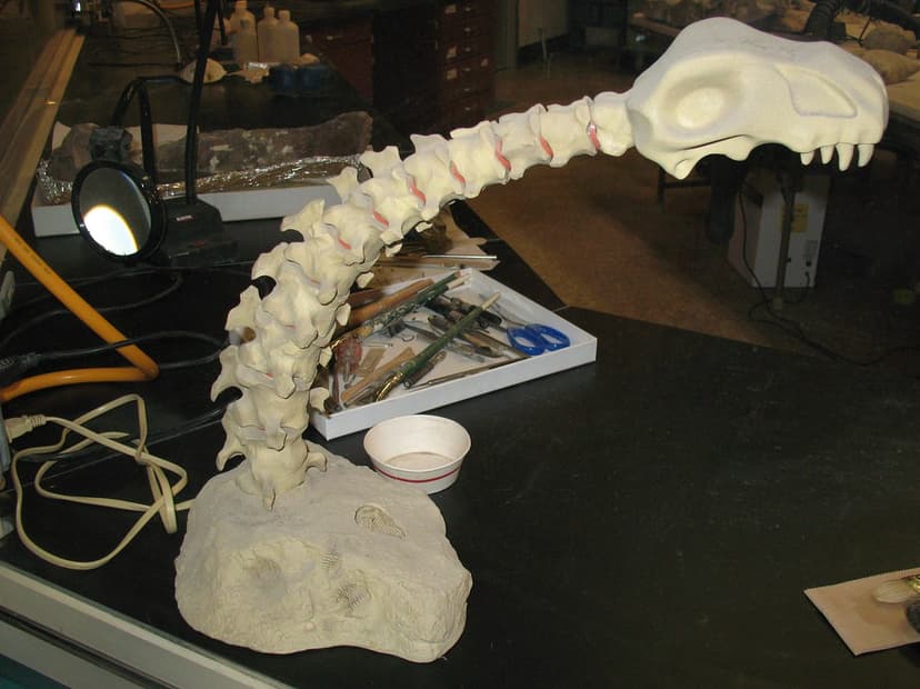 Dinosaur Fossil Lamp at Natural History Museum | Cute desk l… | Flickr