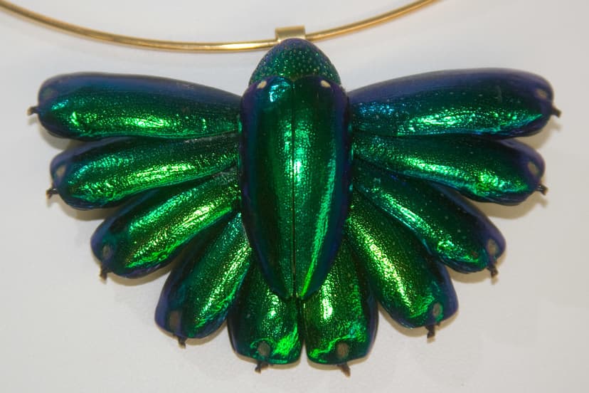 CD473 Jewel Beetle Necklace | Visit to Insectropolis with Br… | Flickr