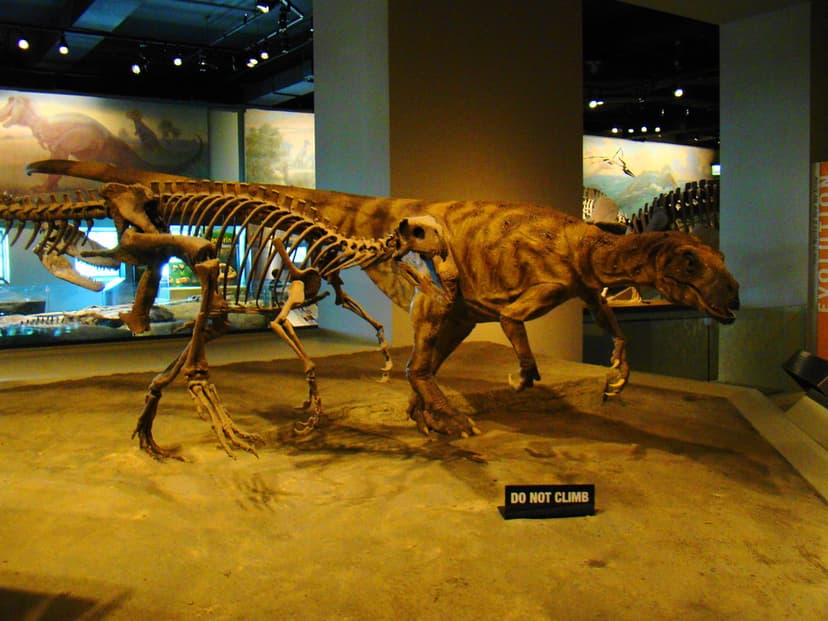 Herrerasaurus | Daniel Arndt | Flickr