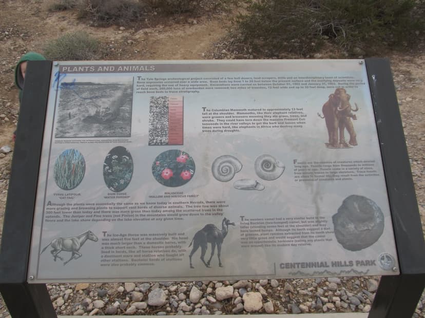 Upper Las Vegas Wash Interpretative Exhibits, Centennial H… | Flickr