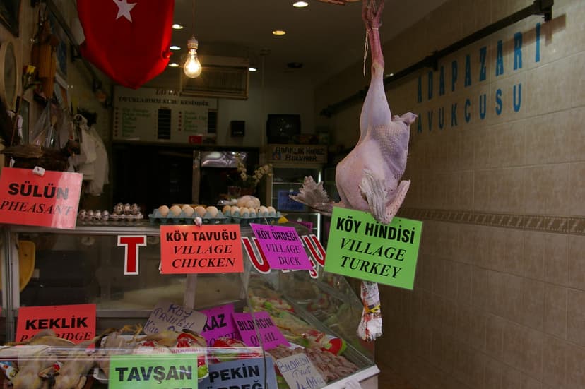 pollería-pavería | Mercado en Estambul de carne de ave y hue… | Flickr