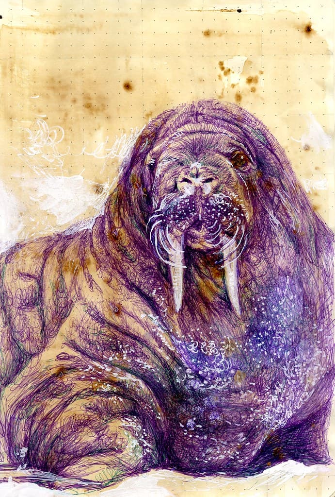 Coffee with the Walrus | A coffee wash in a Rhodiarama dot g… | Flickr