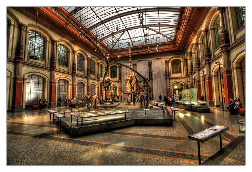 Berlin - Museum für Naturkunde - Brachiosaurus - Giraffati… | Flickr