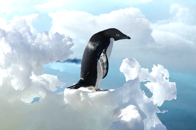 Adélie Penguin (Pygoscelis adeliae) on iceberg, Antarctic … | Flickr
