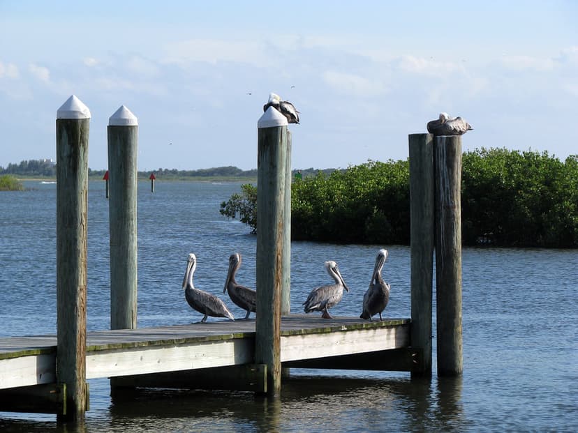 Four Friends Fishing | Taken at Ponce Inlet Harbor | Capture of ...