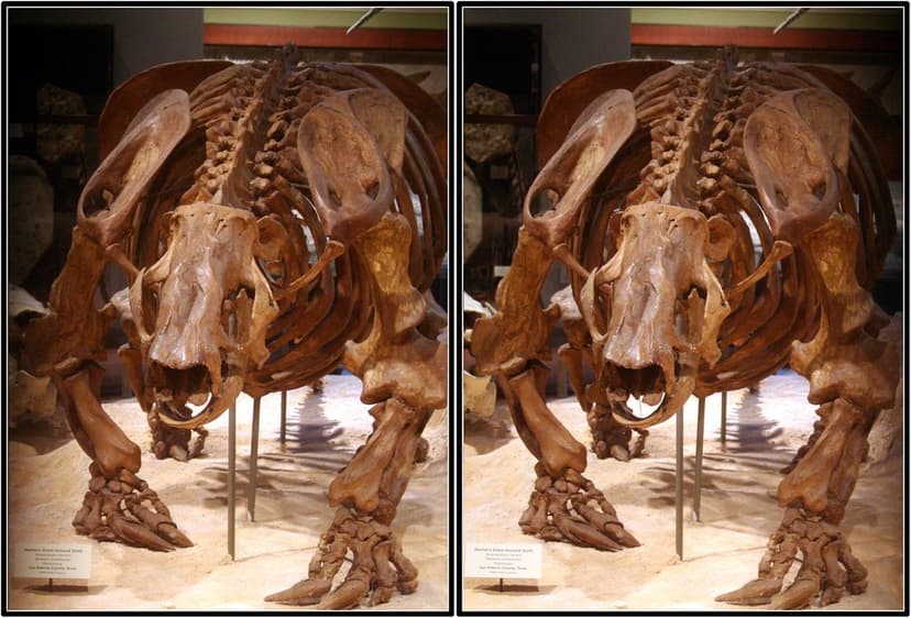 Texas Memorial Museum, Austin, Texas 2008.09.12 | 074. Pleis… | Flickr