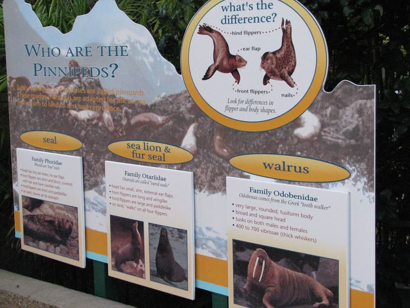Sea World San Diego - sign | January 7, 2009 Sea World San D… | Flickr