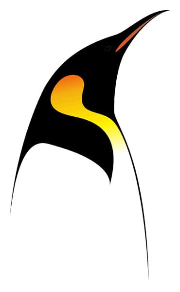emperor penguin | pingüino emperador (aptenodytes forsteri) … | Flickr