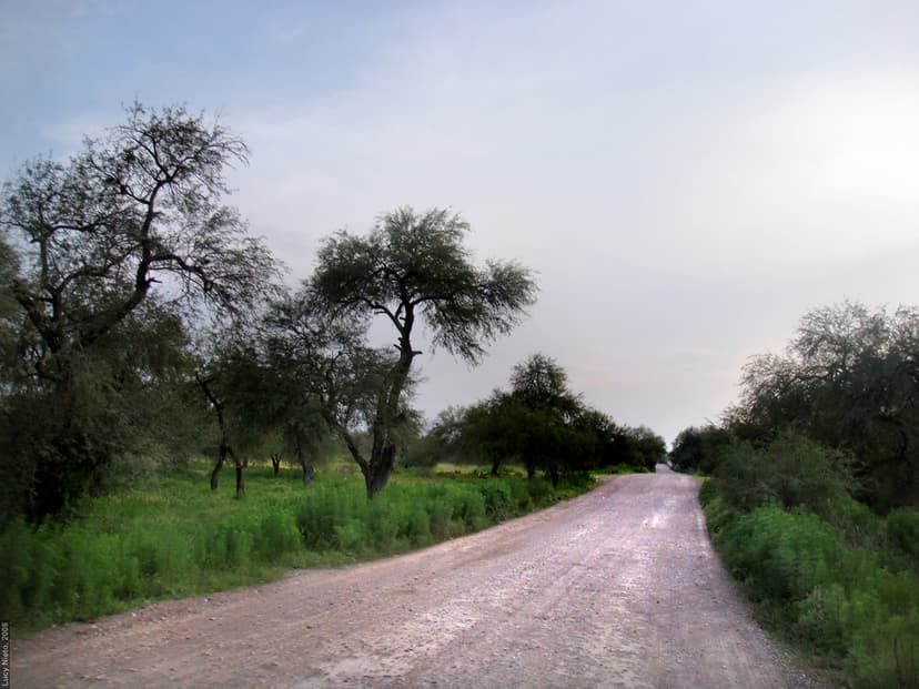 Camino de los llanitos - Rioverde SLP México 2008 2815 | Flickr