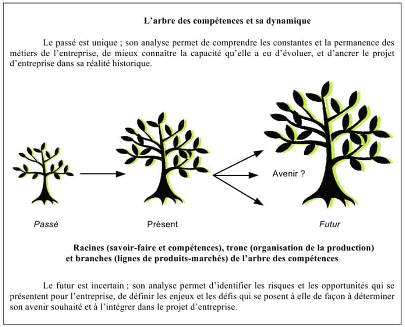 arbre-compétences&dynamique | jean-louis Zimmermann | Flickr