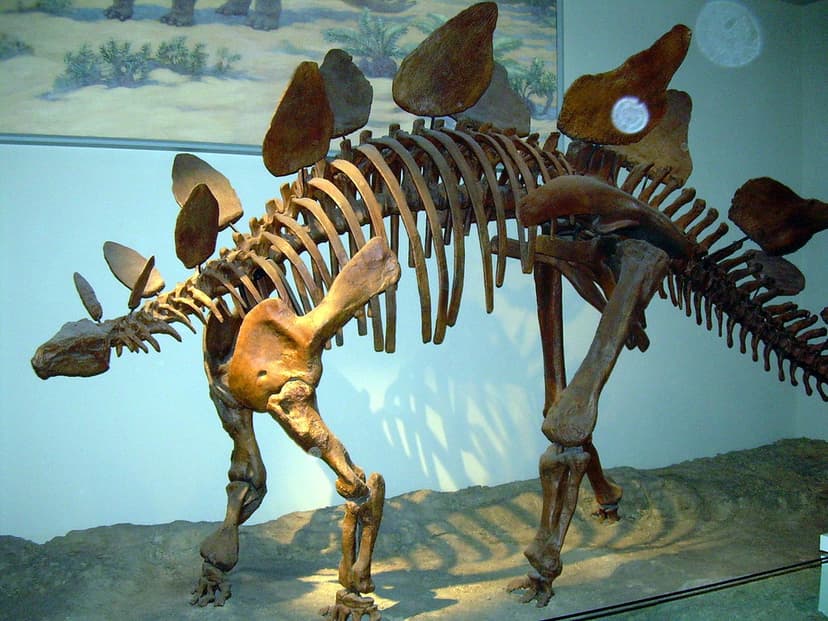 2009-04-10-5160-Stegasaurus | Kordite | Flickr