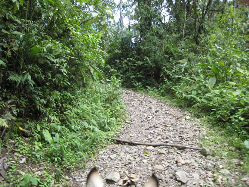 Costo Rica - at Arenal Volcano - horseback 98 | Costa Rica -… | Flickr