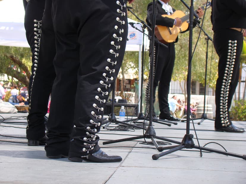 Mariachi's Pants | Cinco de Mayo (Spanish for "fifth of May"… | Flickr