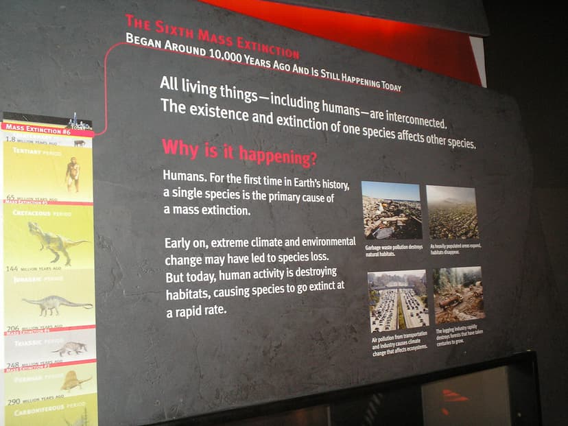 The Sixth (Current) Mass Extinction | "The Sixth Mass Extinc… | Flickr