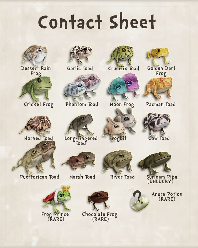 Beetlebones Wizarding Frogs & Toads Gatcha | Available now a… | Flickr