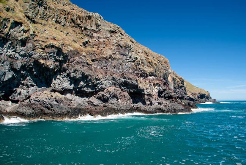 Many Shades of Blue | Looking for the New Zealand Fur Seal f… | Flickr