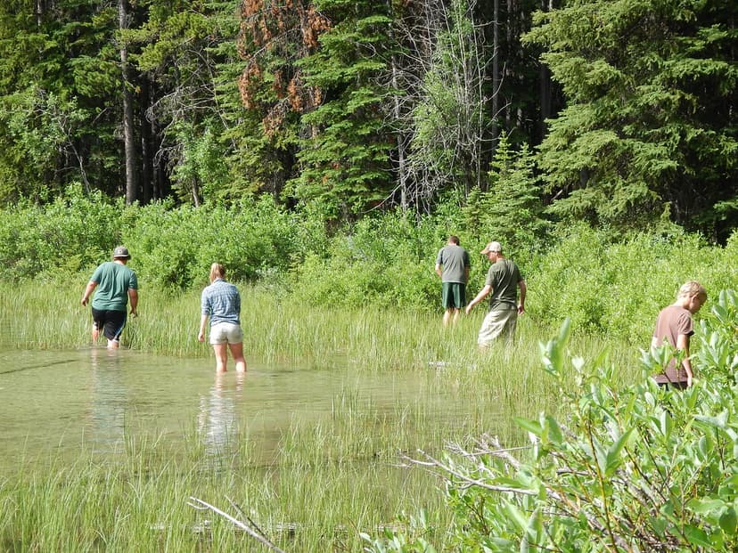 Amphibian Monitoring at Heart Lake - YFMP | Five students wi… | Flickr