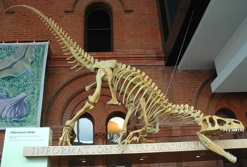 Allosaurus atrox theropod dinosaur (Morrison Formation, Up… | Flickr