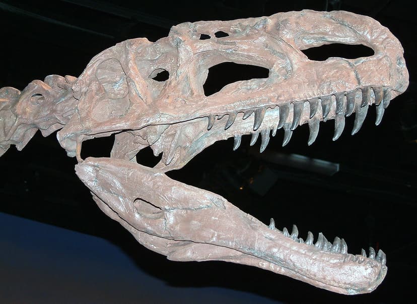 Monolophosaurus jiangi (Shishugou Formation, Middle Jurass… | Flickr