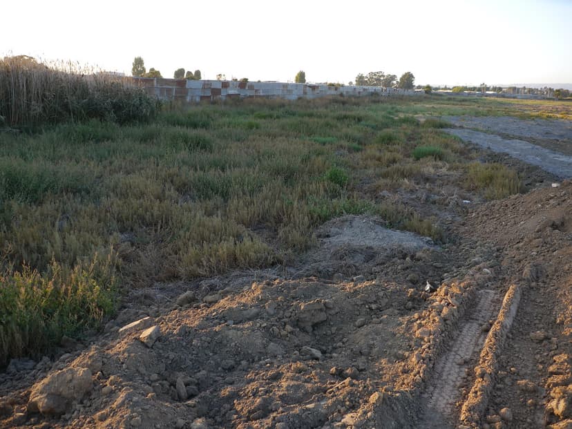 another shot of wetlands destruction | Newark Area 4 | Derell ...