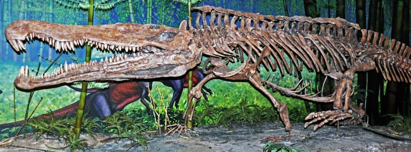 Redondasaurus bermani (fossil reptile) (Upper Triassic; Ne… | Flickr