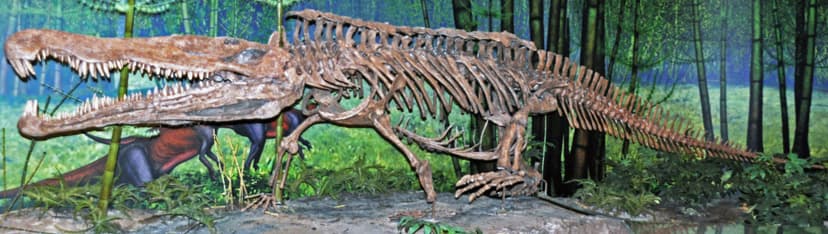 Redondasaurus bermani (fossil reptile) (Upper Triassic; Ne… | Flickr