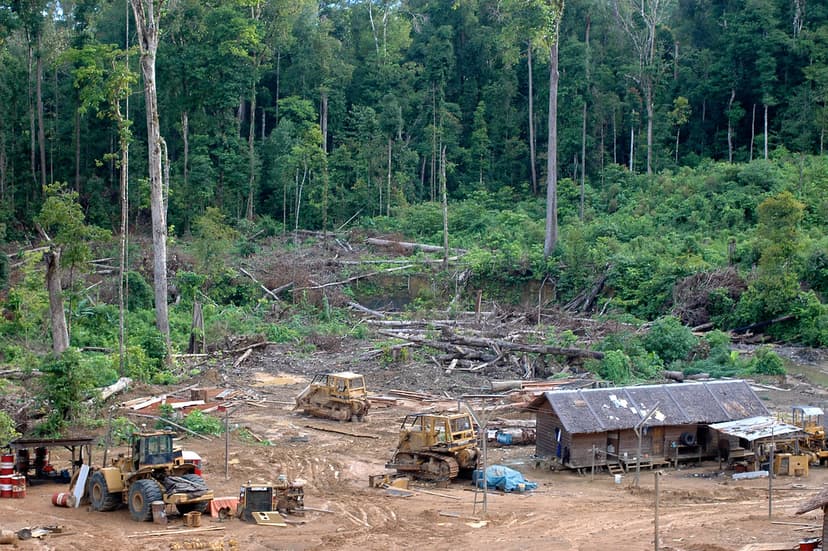 Logging area | A logging area in Gunung Lumut, East Kalimant… | Flickr