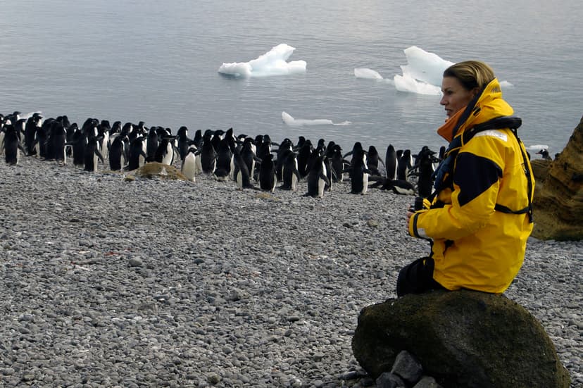 Tourist watching Adëlie penguins, Antarctic Peninsula | Flickr