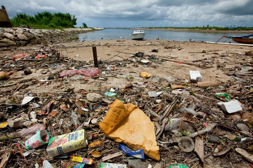 Littered beach, Bali | The term marine pollution relates to … | Flickr