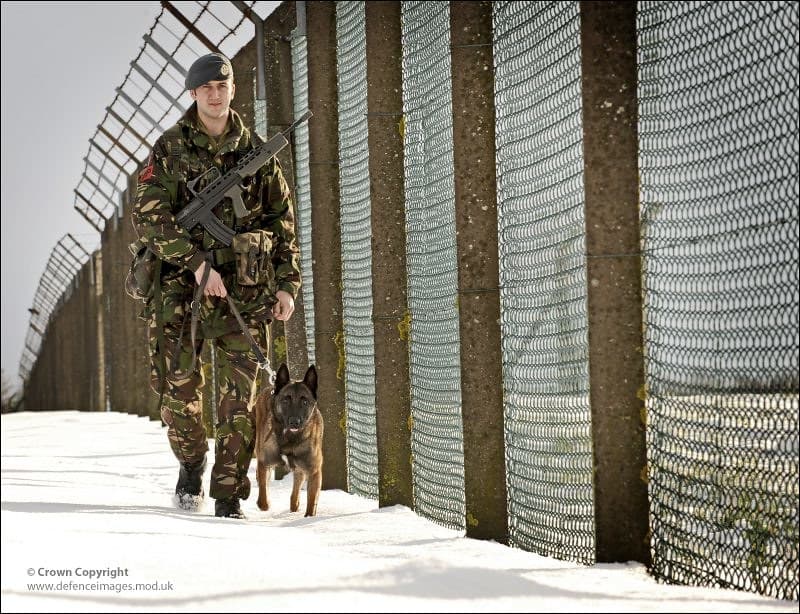 Royal Air Force Dog Handler Patrols RAF Coningsby | A corpor… | Flickr