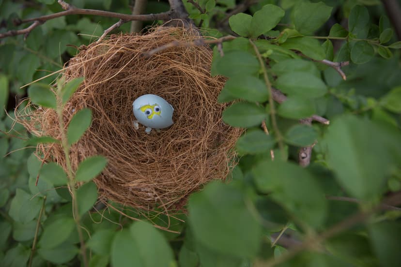 Rare spotting of a googly eyed bird hatching | Have an egg-c… | Flickr
