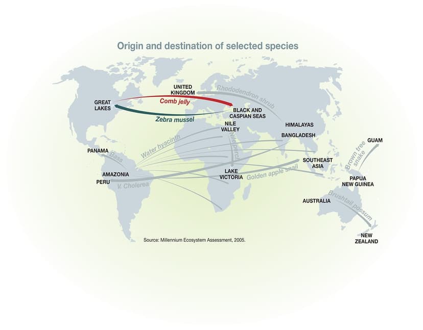 Origin and destination of selected species | North American … | Flickr