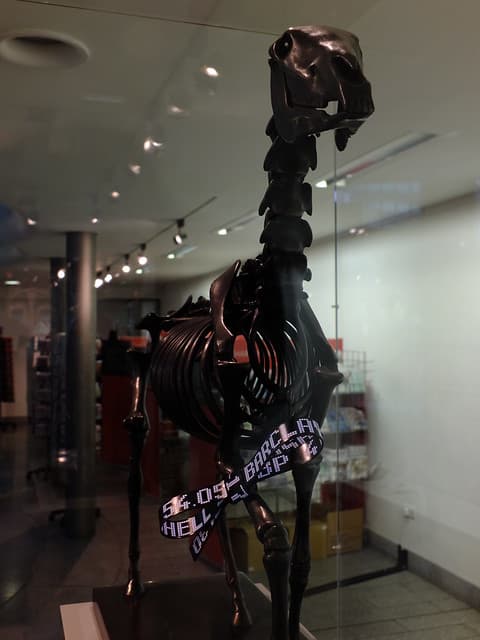Gift Horse | Proposal for the Fourth Plinth By Hans Haacke G… | Flickr