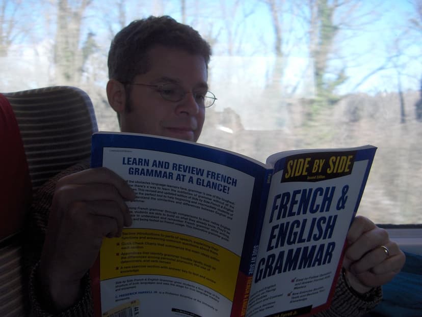 Je Suis Sur Un Train | Trying to learn French on the TGV tra… | Flickr