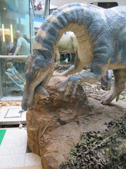 Baryonyx | Baryonyx (meaning "heavy claw", referring to its … | Flickr