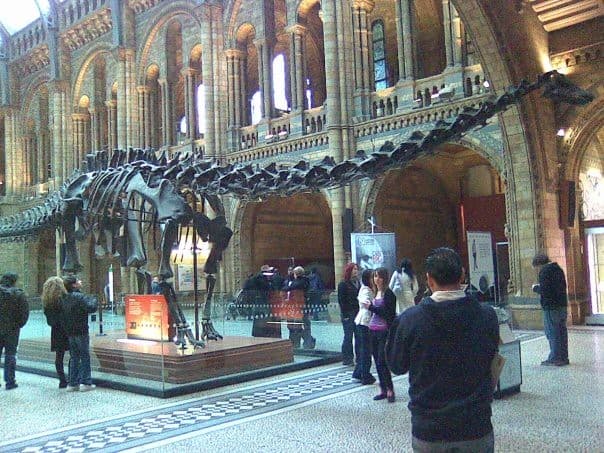 A diplodocus skeleton at the entrance | Tuesday - The Natura… | Flickr