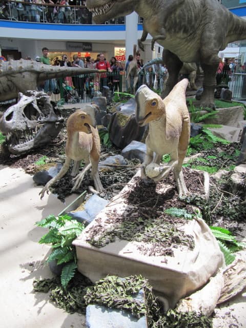It was this big ..." | Oviraptors having a chin wag ... | Flickr
