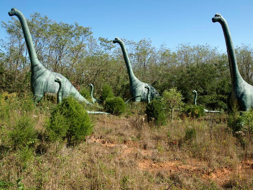 Brachiosaurus | Brachiosaurus /ˌbrækiəˈsɔrəs/ is a genus of … | Flickr