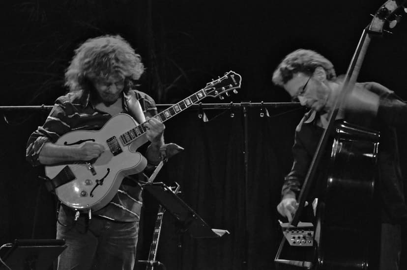 Pat Metheny Concert | With Larry Grenadier | danbruell | Flickr