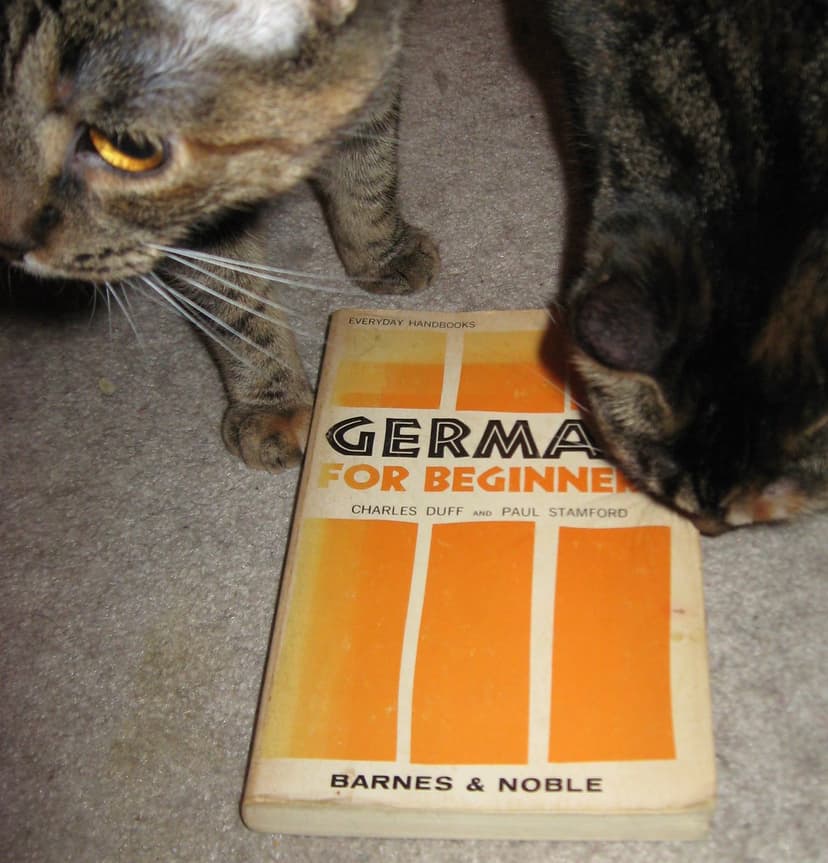 If a cat gets a hold of a German irregular verb, goodbye … | Flickr