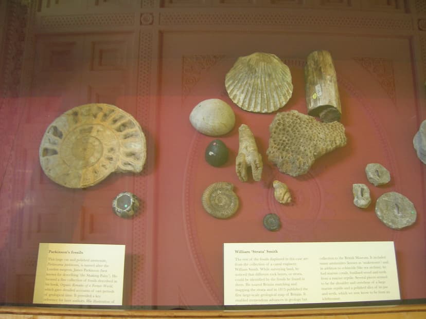 Fossils that helped develop the first geological map | Flickr