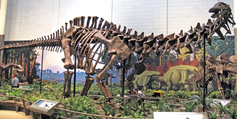 Apatosaurus louisae (sauropod dinosaur) (Morrison Formatio… | Flickr