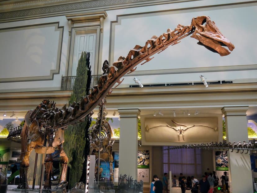 Diplodocus Skeleton | Eden, Janine and Jim | Flickr
