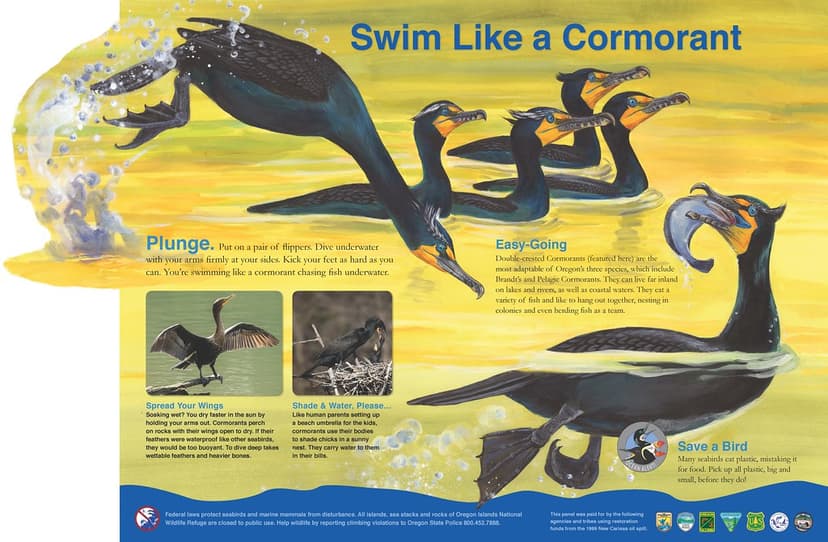 APPROVED-15B-Double-crested Cormorant-SB-110217 | USFWS - Pacific ...